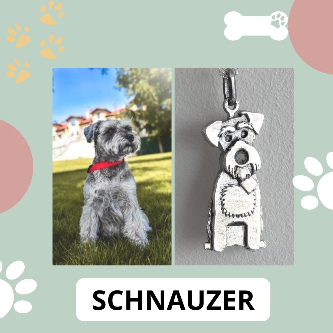 Colgante de plata 950 con forma de perro raza Schnauzer